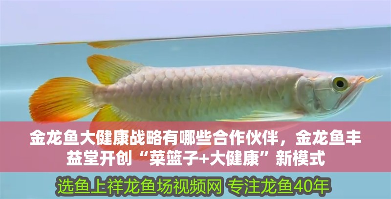 金龍魚大健康戰略有哪些合作伙伴，金龍魚豐益堂開創“菜籃子+大健康”新模式