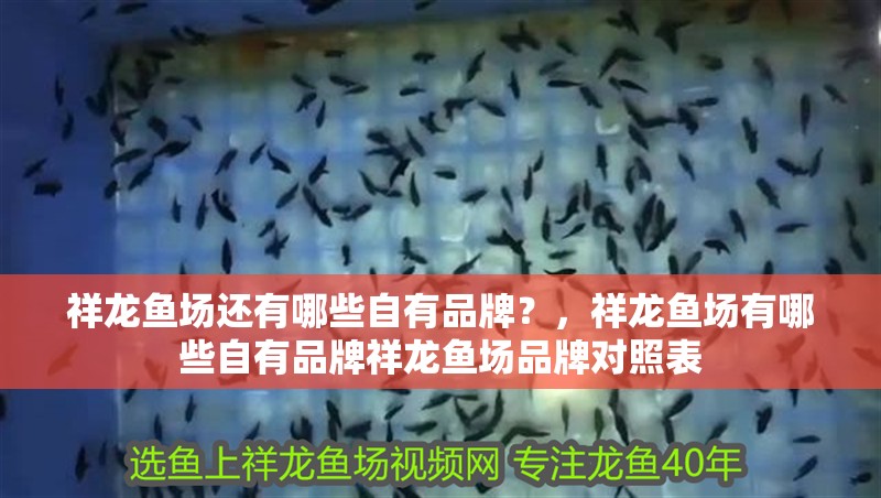 祥龍魚場(chǎng)還有哪些自有品牌？，祥龍魚場(chǎng)有哪些自有品牌祥龍魚場(chǎng)品牌對(duì)照表