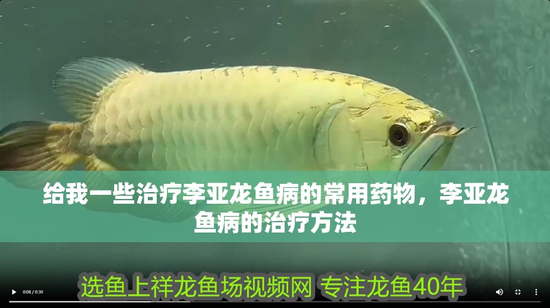 給我一些治療李亞龍魚病的常用藥物，李亞龍魚病的治療方法