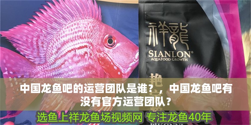 中國龍魚吧的運營團隊是誰？，中國龍魚吧有沒有官方運營團隊？