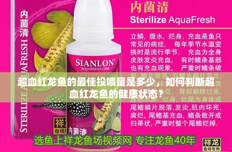 超血紅龍魚的最佳投喂量是多少，如何判斷超血紅龍魚的健康狀態？