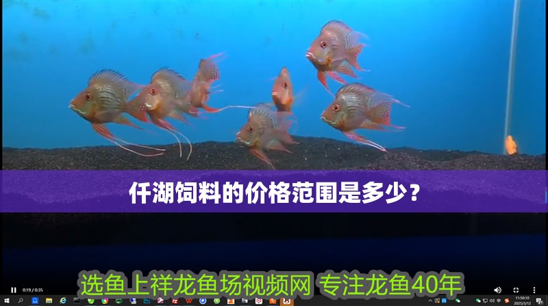 仟湖飼料的價格范圍是多少？