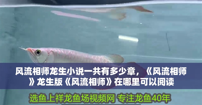 風流相師龍生小說一共有多少章，《風流相師》龍生版《風流相師》在哪里可以閱讀