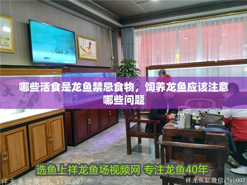 哪些活食是龍魚禁忌食物，飼養龍魚應該注意哪些問題