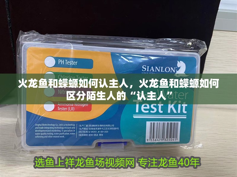火龍魚和蠑螈如何認(rèn)主人，火龍魚和蠑螈如何區(qū)分陌生人的“認(rèn)主人”