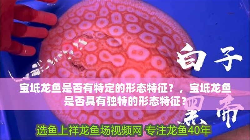 寶坻龍魚是否有特定的形態特征？，寶坻龍魚是否具有獨特的形態特征？