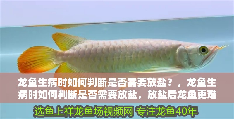 龍魚(yú)生病時(shí)如何判斷是否需要放鹽？，龍魚(yú)生病時(shí)如何判斷是否需要放鹽，放鹽后龍魚(yú)更難受了怎么辦