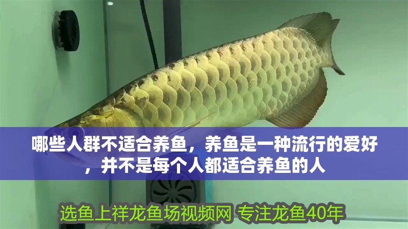 哪些人群不適合養魚，養魚是一種流行的愛好，并不是每個人都適合養魚的人