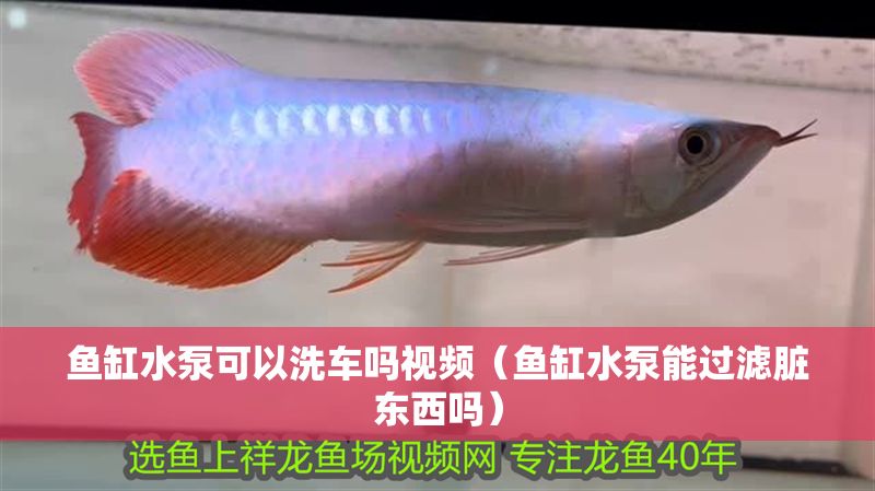 魚缸水泵可以洗車嗎視頻（魚缸水泵能過濾臟東西嗎）
