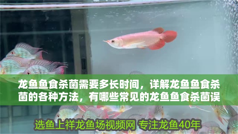 龍魚魚食殺菌需要多長時間，詳解龍魚魚食殺菌的各種方法，有哪些常見的龍魚魚食殺菌誤區？