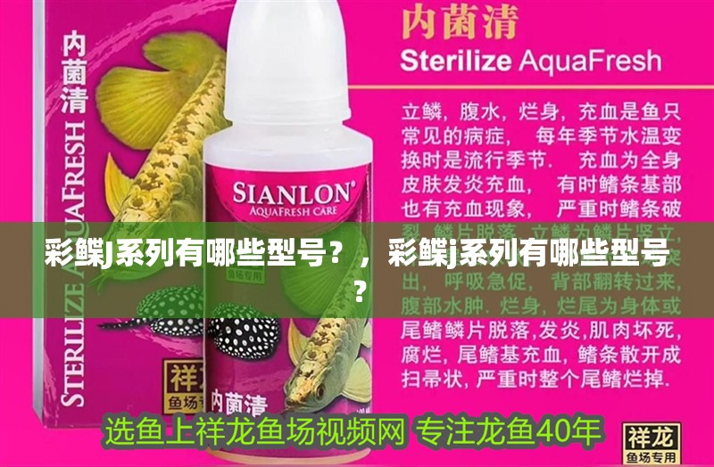 彩鰈J系列有哪些型號？，彩鰈j系列有哪些型號？