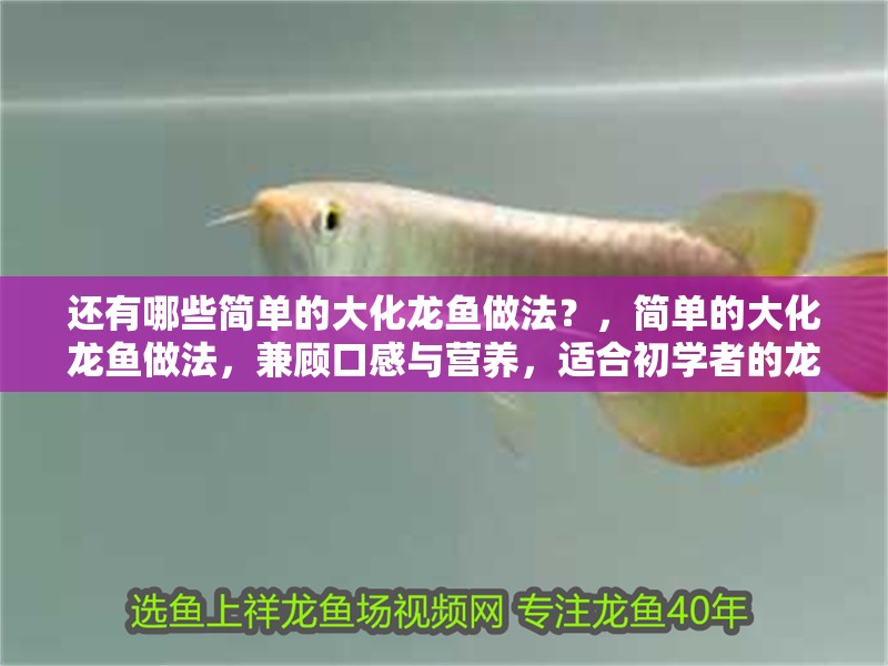 還有哪些簡單的大化龍魚做法？，簡單的大化龍魚做法，兼顧口感與營養，適合初學者的龍魚做法