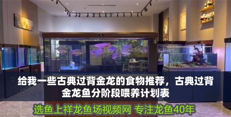 給我一些古典過背金龍的食物推薦，古典過背金龍魚分階段喂養計劃表
