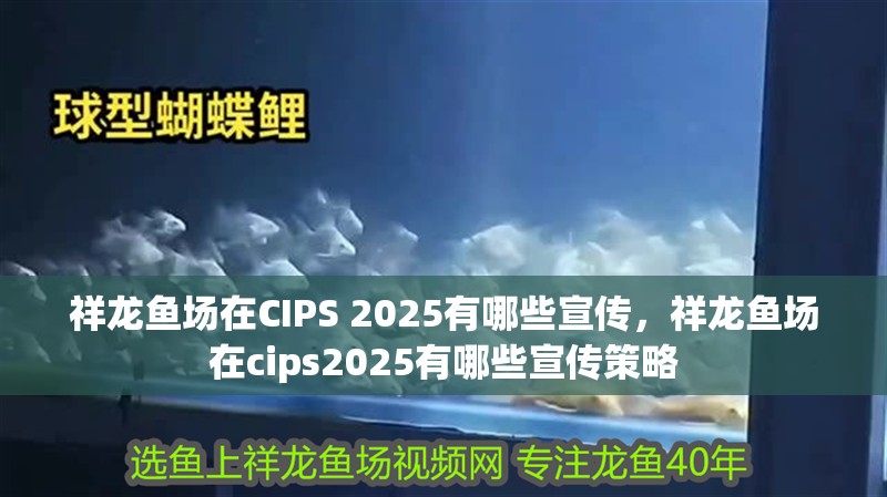 祥龍魚(yú)場(chǎng)在CIPS 2025有哪些宣傳，祥龍魚(yú)場(chǎng)在cips2025有哪些宣傳策略