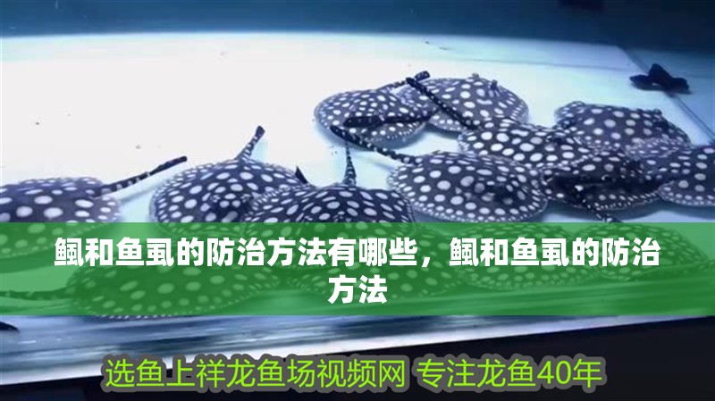 鲺和魚虱的防治方法有哪些，鲺和魚虱的防治方法