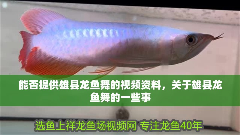 能否提供雄縣龍魚舞的視頻資料，關于雄縣龍魚舞的一些事