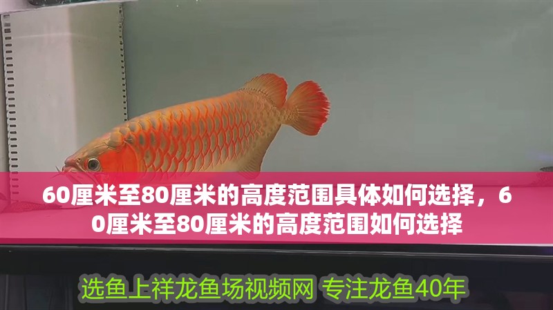 60厘米至80厘米的高度范圍具體如何選擇，60厘米至80厘米的高度范圍如何選擇