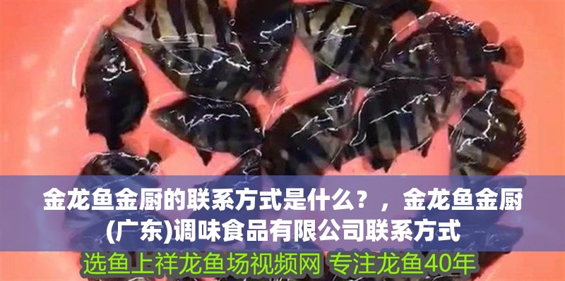金龍魚金廚的聯(lián)系方式是什么？，金龍魚金廚(廣東)調(diào)味食品有限公司聯(lián)系方式