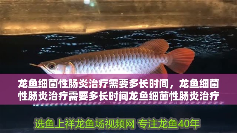 龍魚細菌性腸炎治療需要多長時間，龍魚細菌性腸炎治療需要多長時間龍魚細菌性腸炎治療時間通常為