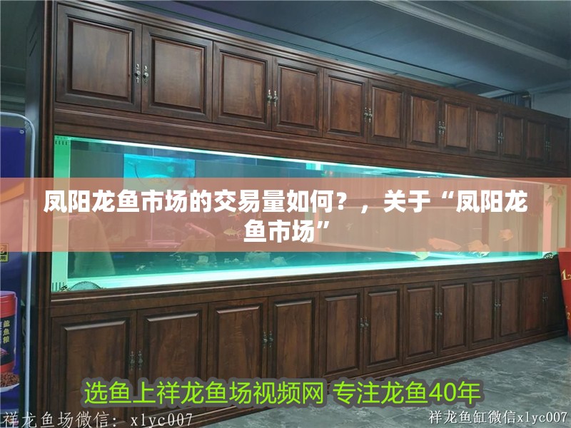 鳳陽龍魚市場(chǎng)的交易量如何？，關(guān)于“鳳陽龍魚市場(chǎng)”