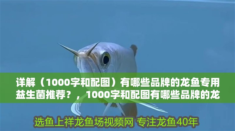 詳解（1000字和配圖）有哪些品牌的龍魚專用益生菌推薦？，1000字和配圖有哪些品牌的龍魚專用益生菌推薦