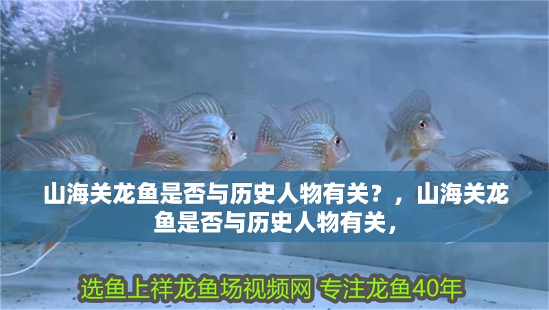 山海關龍魚是否與歷史人物有關？，山海關龍魚是否與歷史人物有關，
