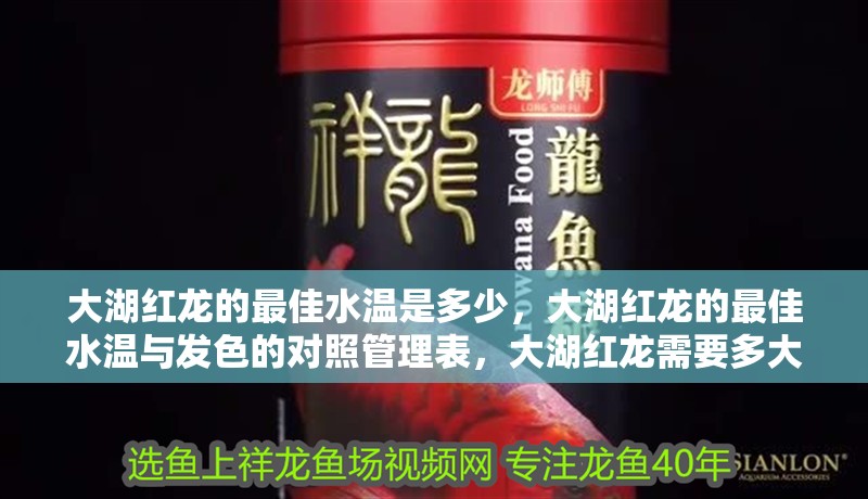 大湖紅龍的最佳水溫是多少，大湖紅龍的最佳水溫與發色的對照管理表，大湖紅龍需要多大的魚缸