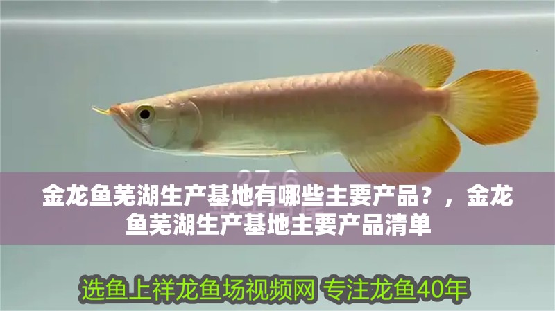 金龍魚蕪湖生產(chǎn)基地有哪些主要產(chǎn)品？，金龍魚蕪湖生產(chǎn)基地主要產(chǎn)品清單