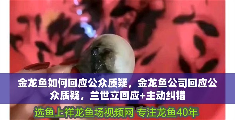 金龍魚如何回應(yīng)公眾質(zhì)疑，金龍魚公司回應(yīng)公眾質(zhì)疑，蘭世立回應(yīng)+主動(dòng)糾錯(cuò)