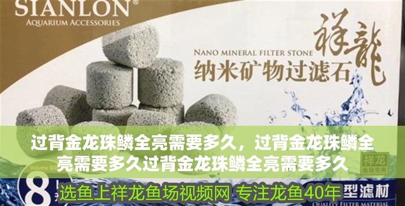 過(guò)背金龍珠鱗全亮需要多久，過(guò)背金龍珠鱗全亮需要多久過(guò)背金龍珠鱗全亮需要多久