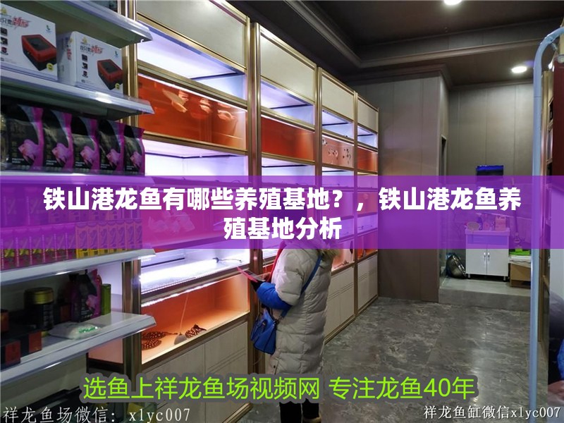 鐵山港龍魚有哪些養殖基地？，鐵山港龍魚養殖基地分析