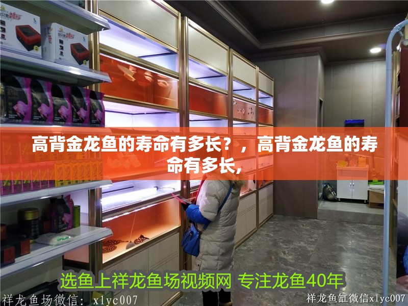 高背金龍魚的壽命有多長？，高背金龍魚的壽命有多長,
