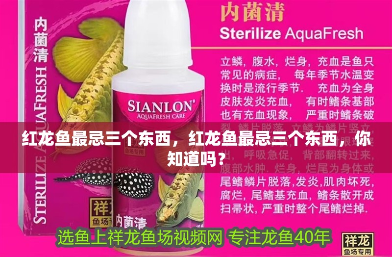 紅龍魚最忌三個東西，紅龍魚最忌三個東西，你知道嗎？