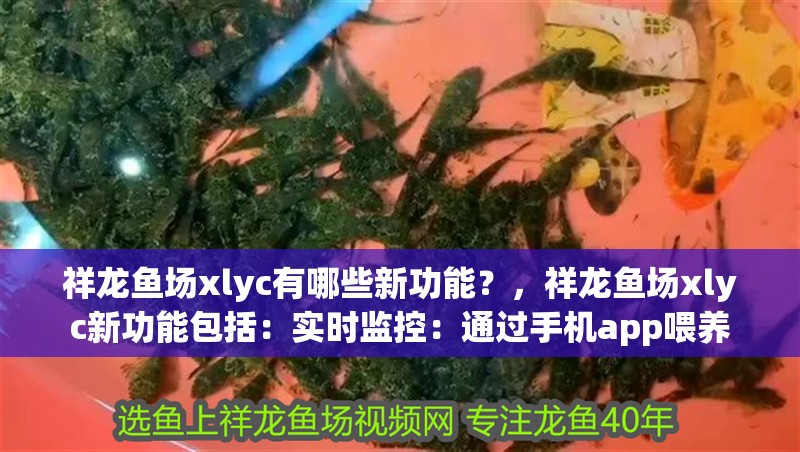 祥龍魚場xlyc有哪些新功能？，祥龍魚場xlyc新功能包括：實時監控：通過手機app喂養