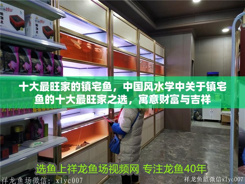 十大最旺家的鎮(zhèn)宅魚，中國風(fēng)水學(xué)中關(guān)于鎮(zhèn)宅魚的十大最旺家之選，寓意財富與吉祥