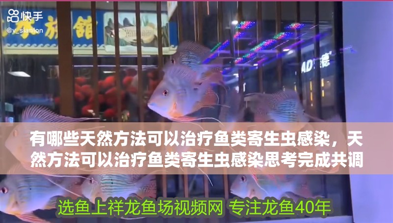 有哪些天然方法可以治療魚類寄生蟲感染，天然方法可以治療魚類寄生蟲感染思考完成共調(diào)用2個工具