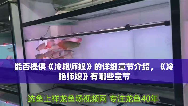 能否提供《冷艷師娘》的詳細章節(jié)介紹，《冷艷師娘》有哪些章節(jié)