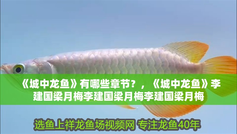 《城中龍魚》有哪些章節？，《城中龍魚》李建國梁月梅李建國梁月梅李建國梁月梅