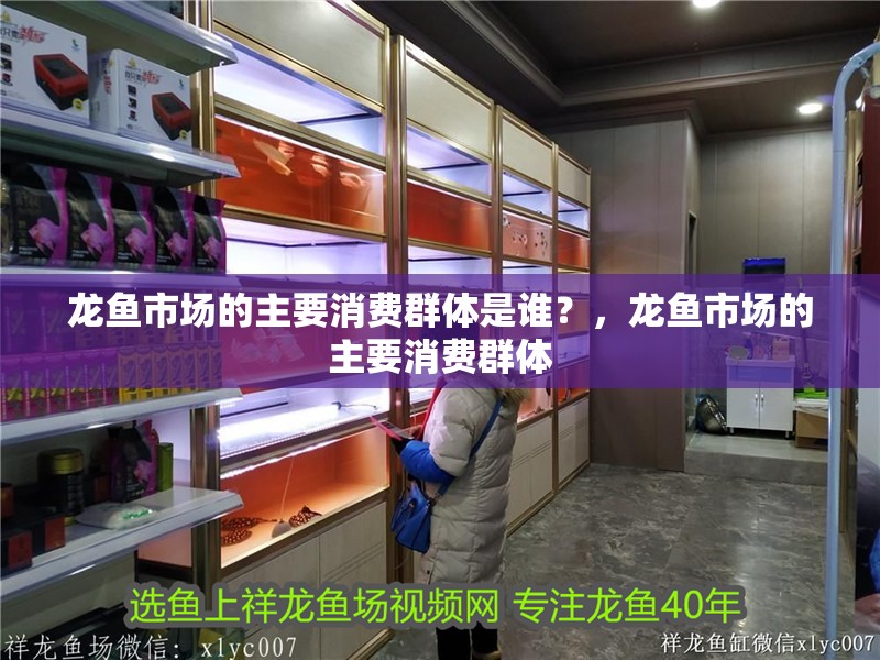 龍魚市場的主要消費群體是誰？，龍魚市場的主要消費群體