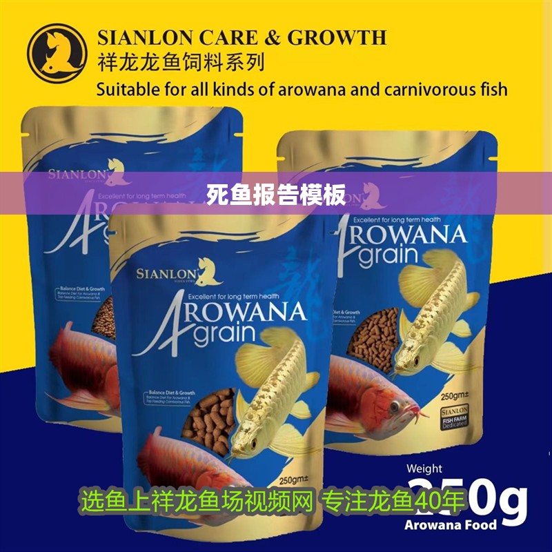 死魚報告模板