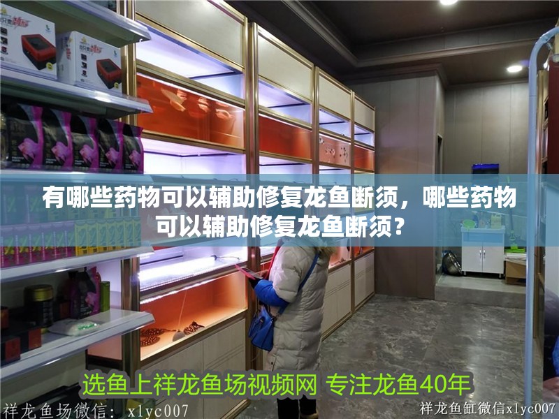 有哪些藥物可以輔助修復龍魚斷須，哪些藥物可以輔助修復龍魚斷須？