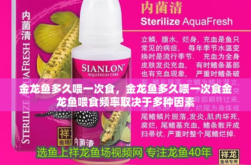金龍魚多久喂一次食，金龍魚多久喂一次食金龍魚喂食頻率取決于多種因素