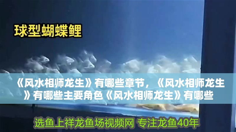 《風水相師龍生》有哪些章節，《風水相師龍生》有哪些主要角色《風水相師龍生》有哪些