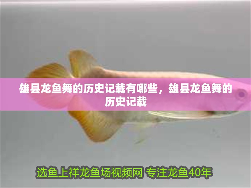 雄縣龍魚舞的歷史記載有哪些，雄縣龍魚舞的歷史記載