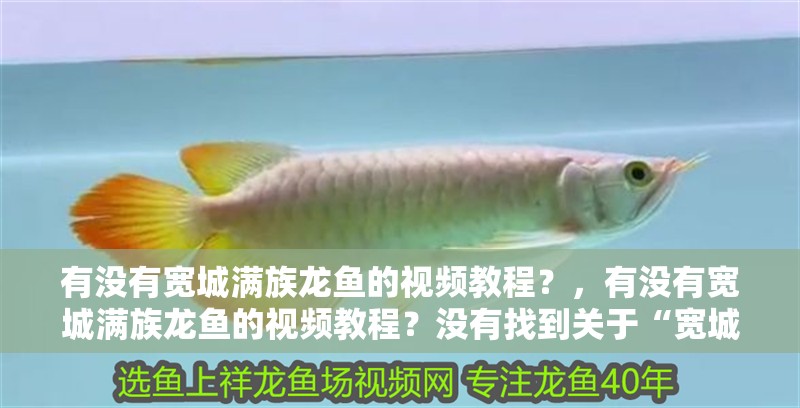 有沒有寬城滿族龍魚的視頻教程？，有沒有寬城滿族龍魚的視頻教程？沒有找到關于“寬城滿族龍魚”的視頻教程,