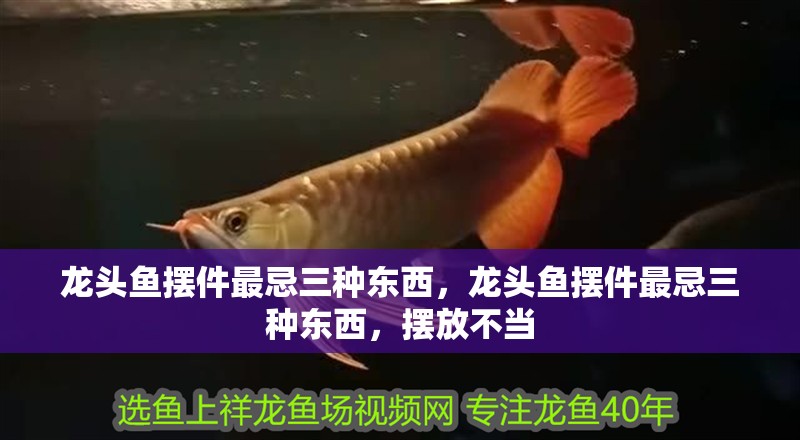 龍頭魚擺件最忌三種東西，龍頭魚擺件最忌三種東西，擺放不當