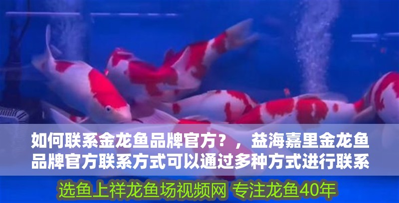 如何聯系金龍魚品牌官方？，益海嘉里金龍魚品牌官方聯系方式可以通過多種方式進行聯系