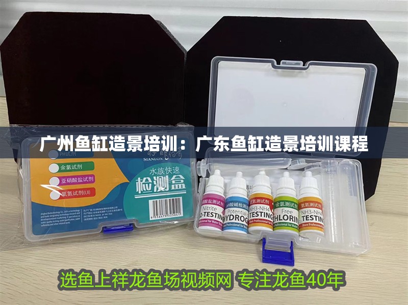 廣州魚缸造景培訓：廣東魚缸造景培訓課程