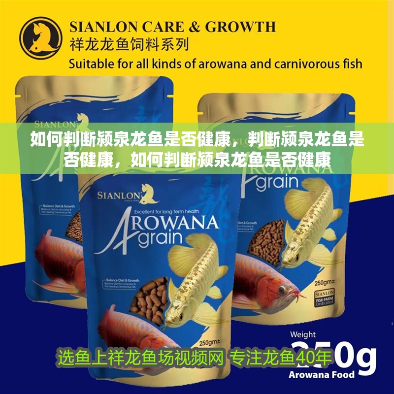 如何判斷潁泉龍魚是否健康，判斷潁泉龍魚是否健康，如何判斷潁泉龍魚是否健康