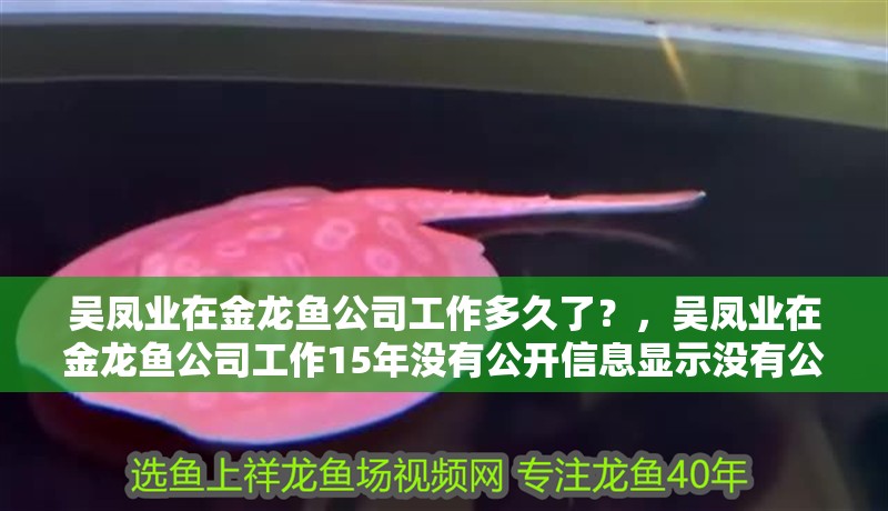 吳鳳業(yè)在金龍魚公司工作多久了？，吳鳳業(yè)在金龍魚公司工作15年沒有公開信息顯示沒有公開信息